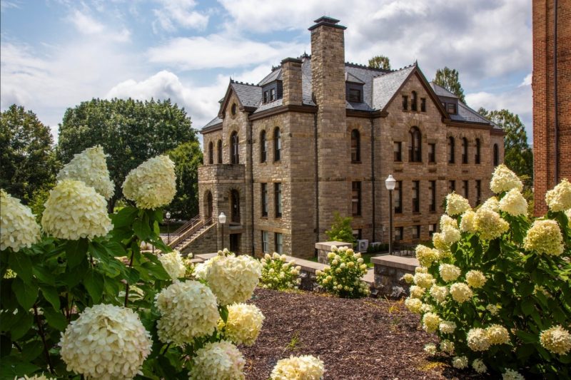 A three-story stone building is in the background. In the foreground are flowering white bushes. The sky is blue with white, fluffy clouds.